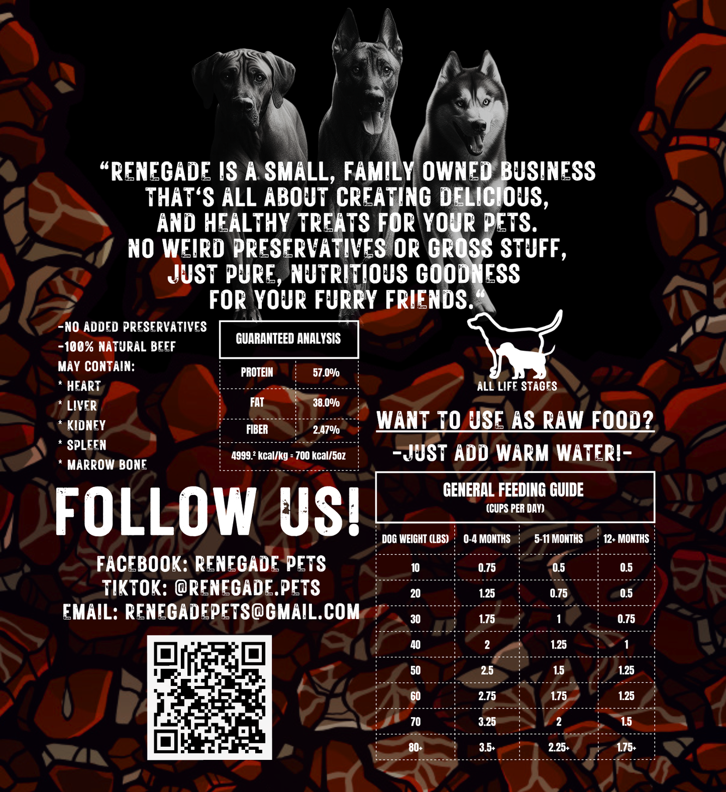 RENEGADE Carnivore Raw - Freeze-Dried Beef (5oz)